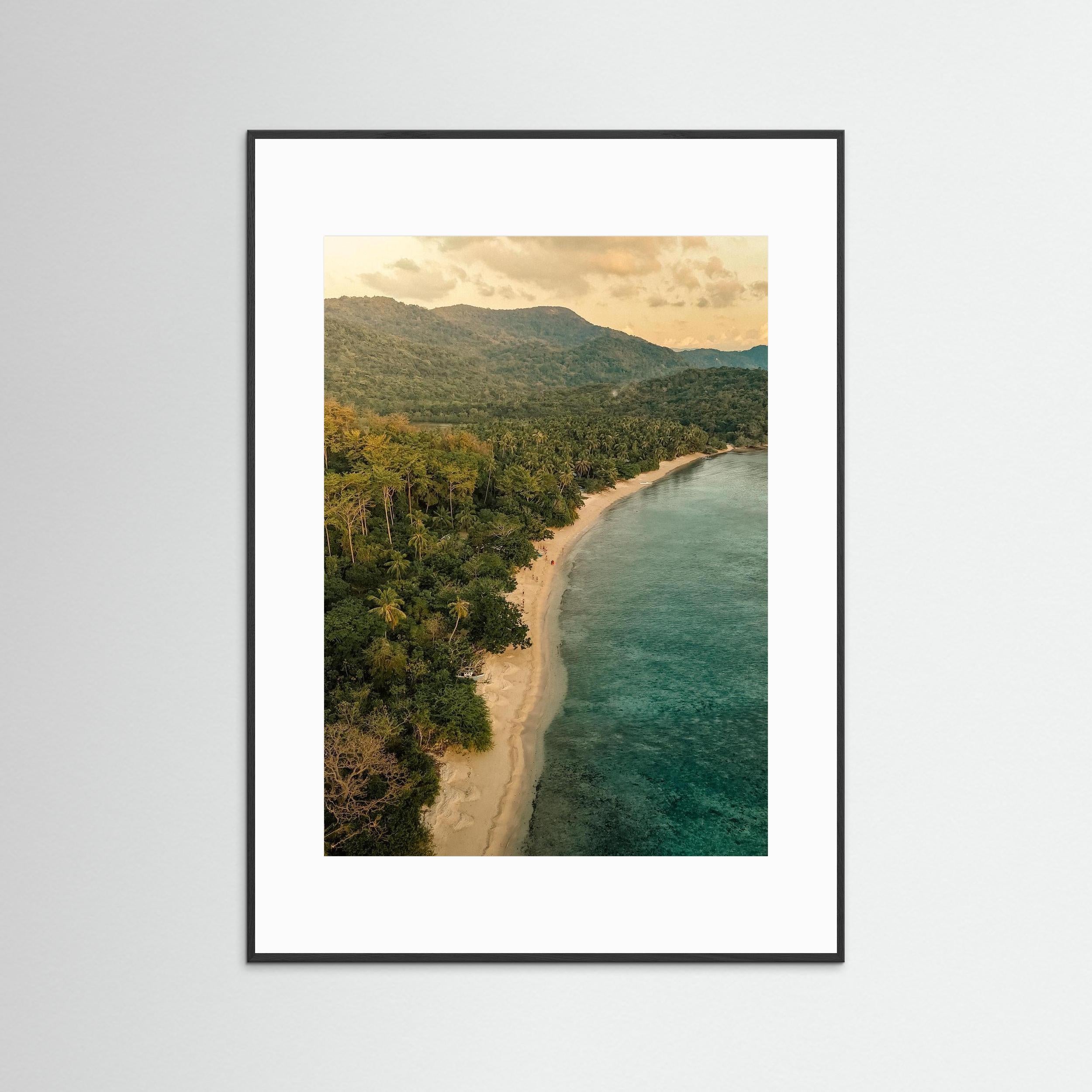 When the Forest Meets the Sea - Philippines 2025