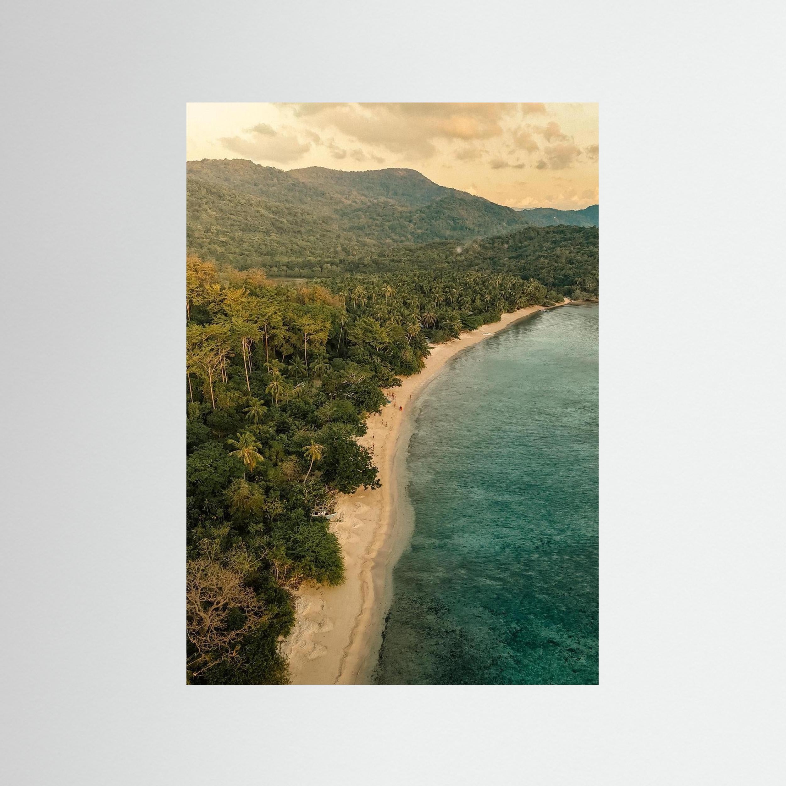 When the Forest Meets the Sea - Philippines 2025