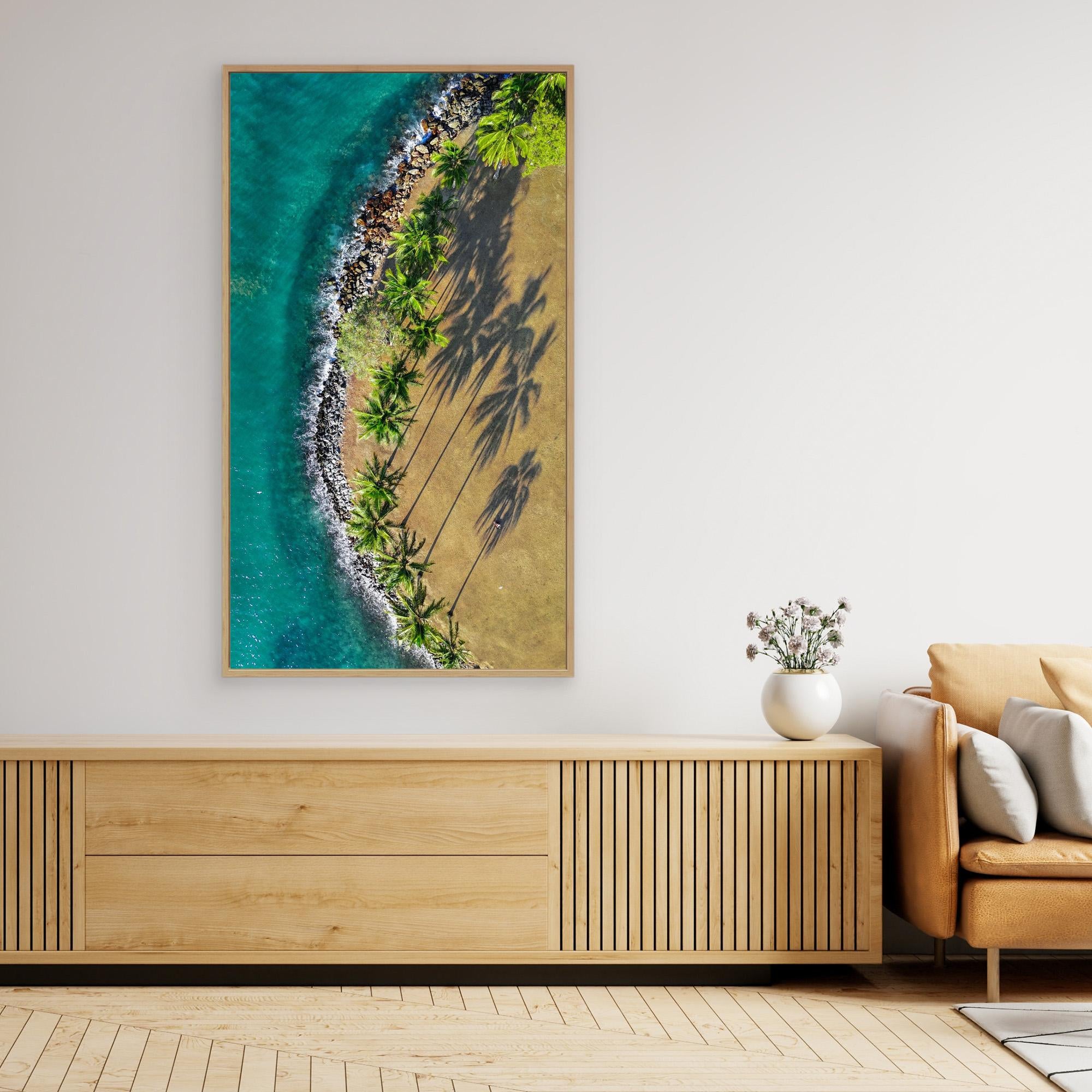 Shadows of Paradise - Port Douglas 2024