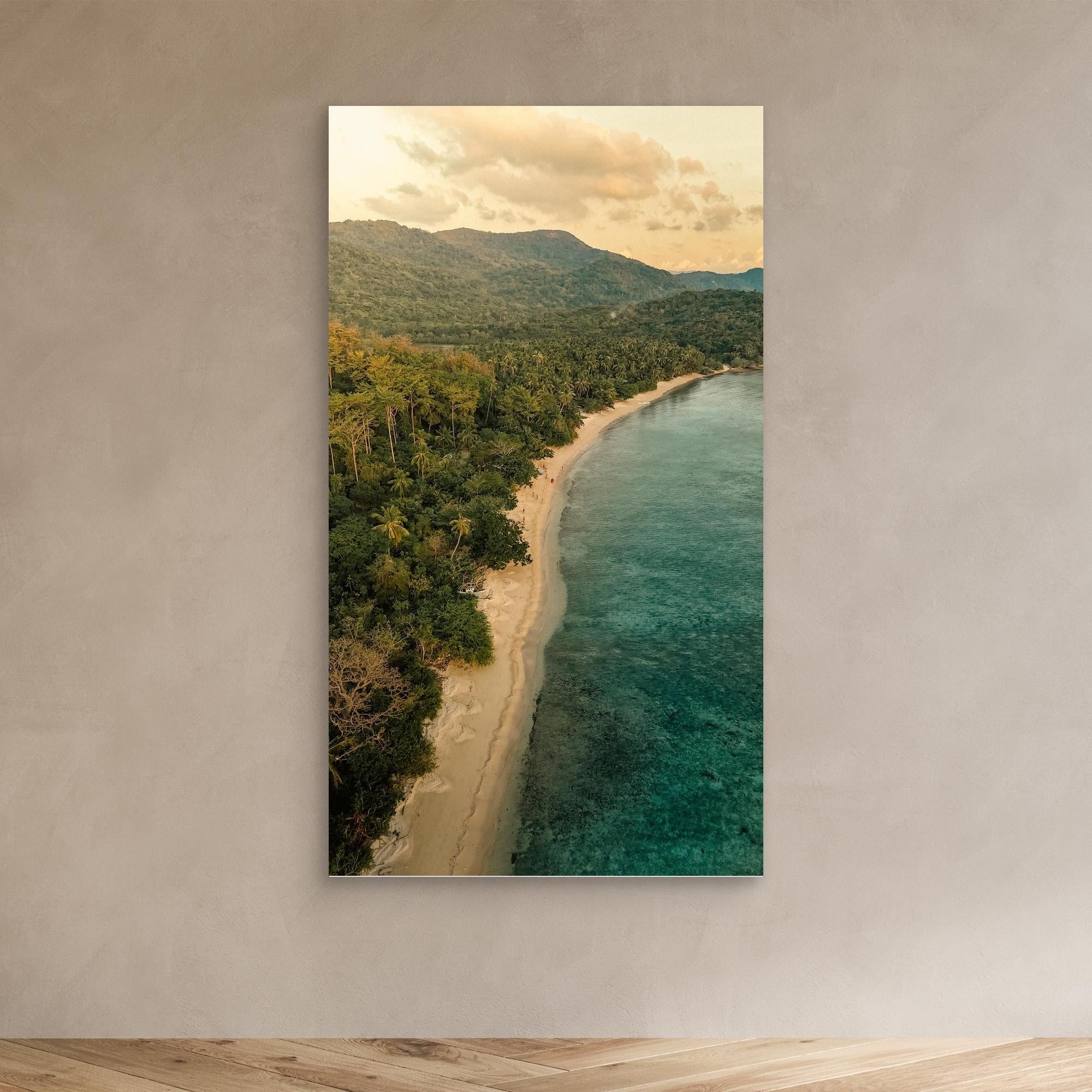 When the Forest Meets the Sea - Philippines 2025