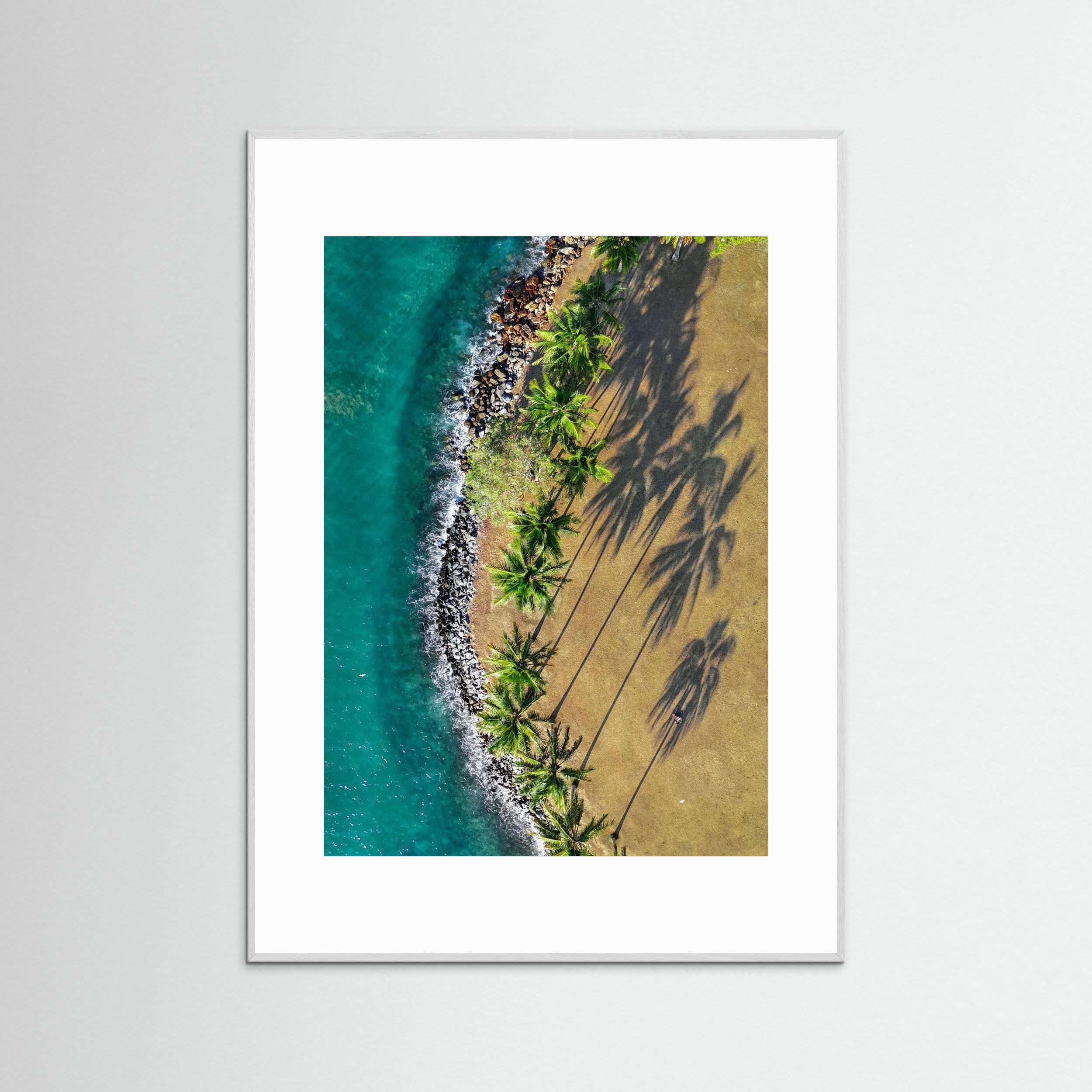 Shadows of Paradise - Port Douglas 2024