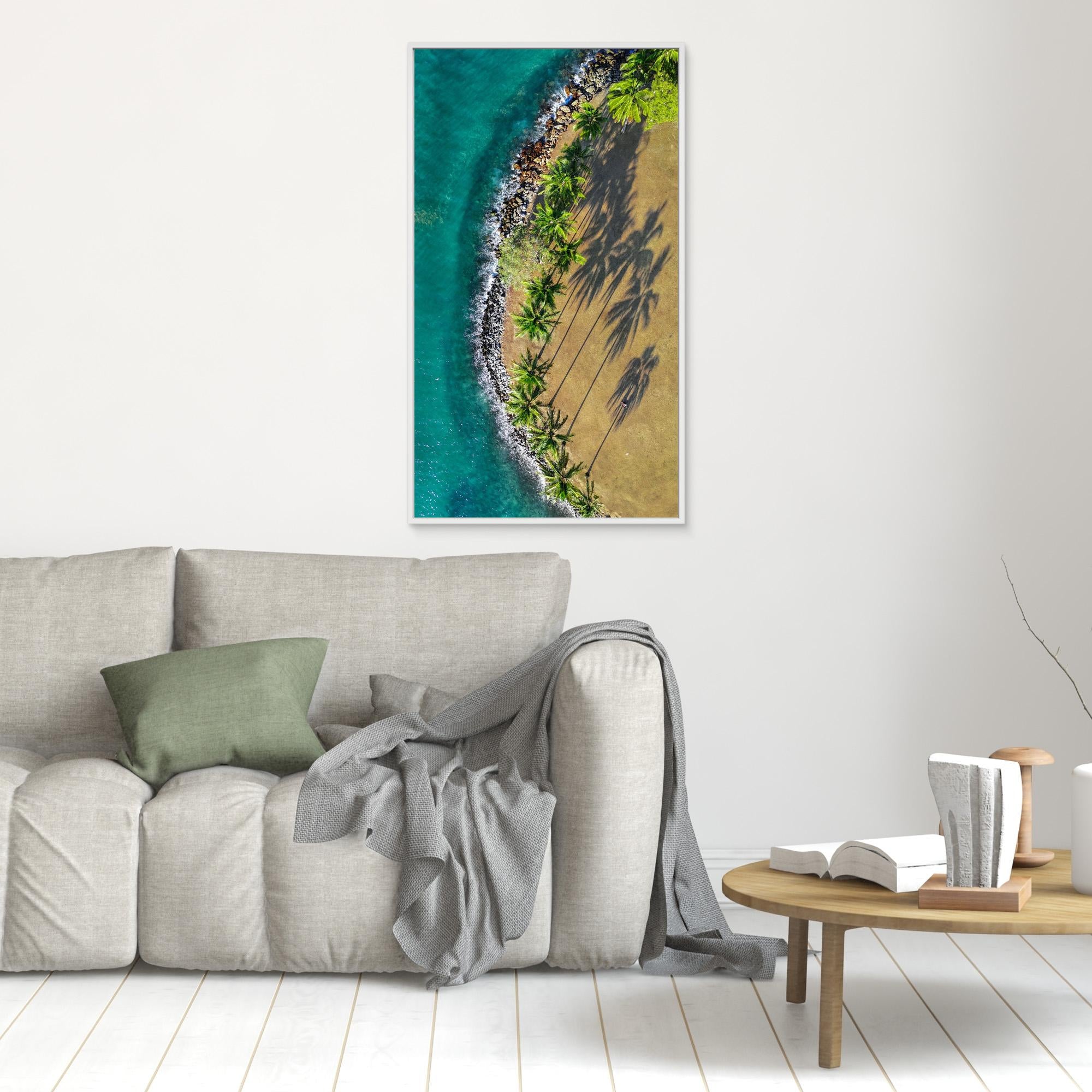 Shadows of Paradise - Port Douglas 2024