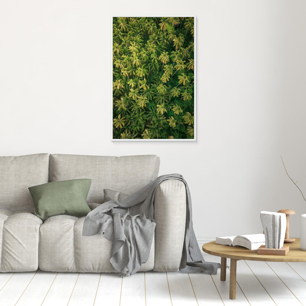 Palm Symphony - Siargao 2025