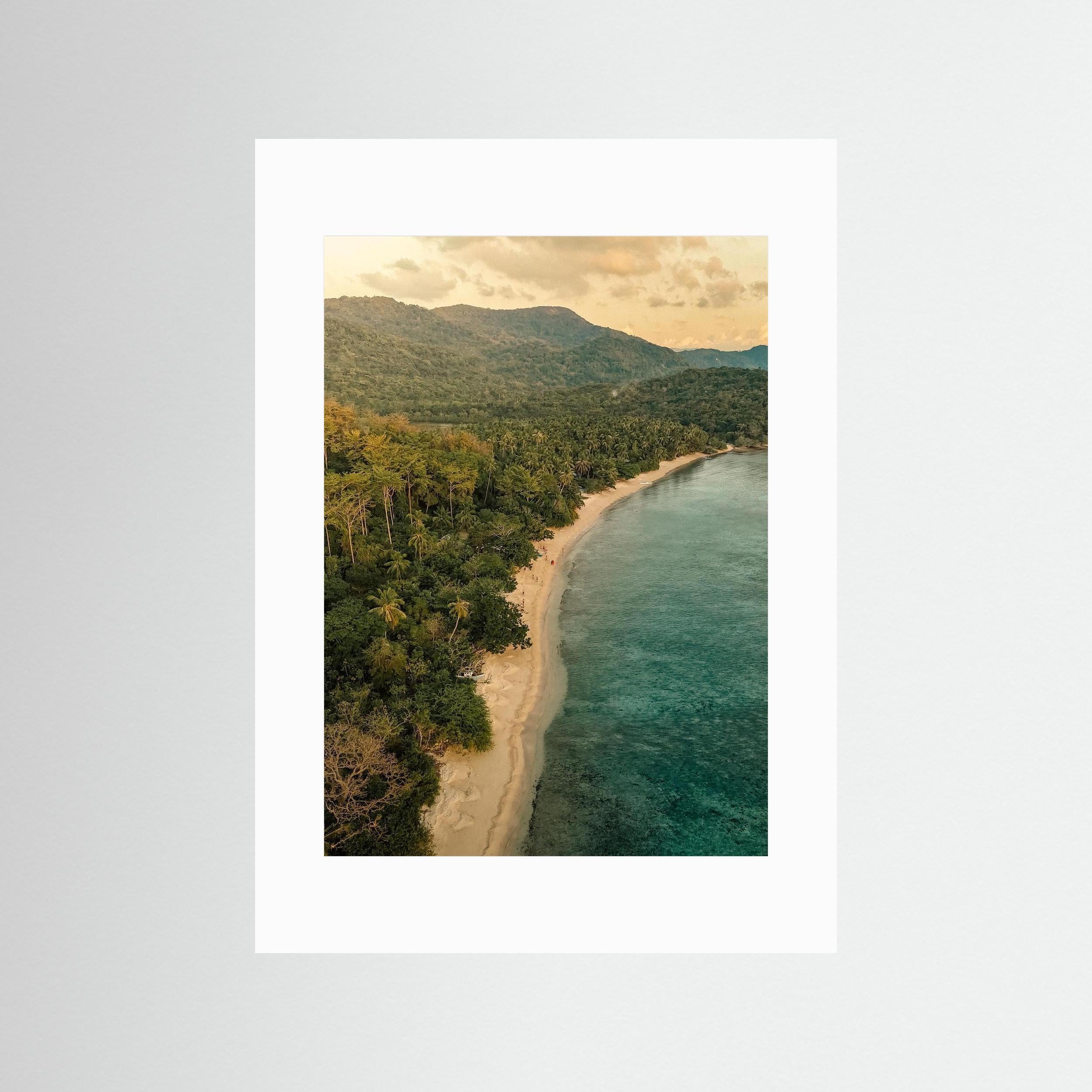 When the Forest Meets the Sea - Philippines 2025