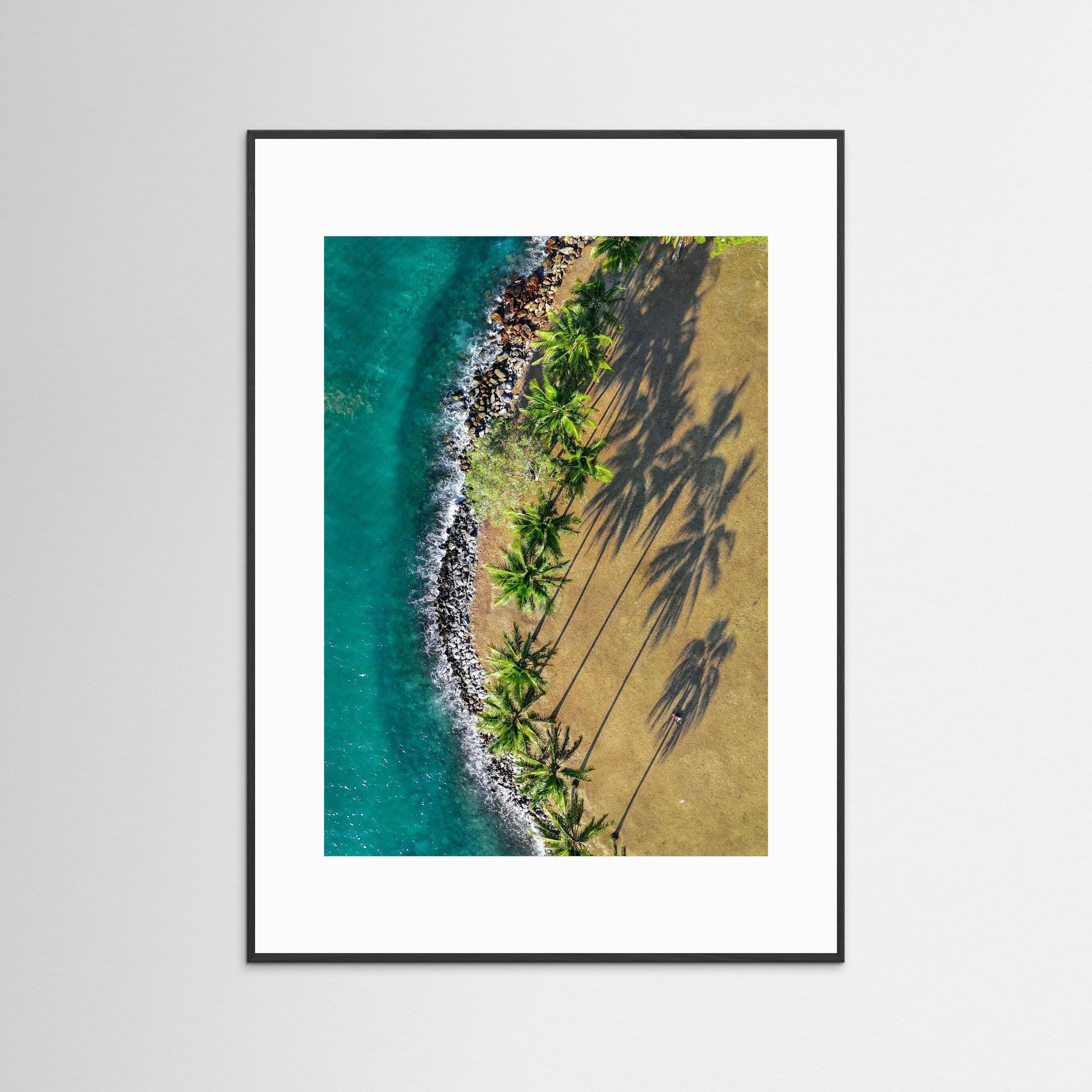 Shadows of Paradise - Port Douglas 2024