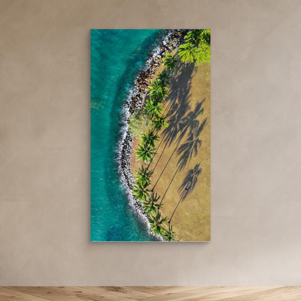 Shadows of Paradise - Port Douglas 2024