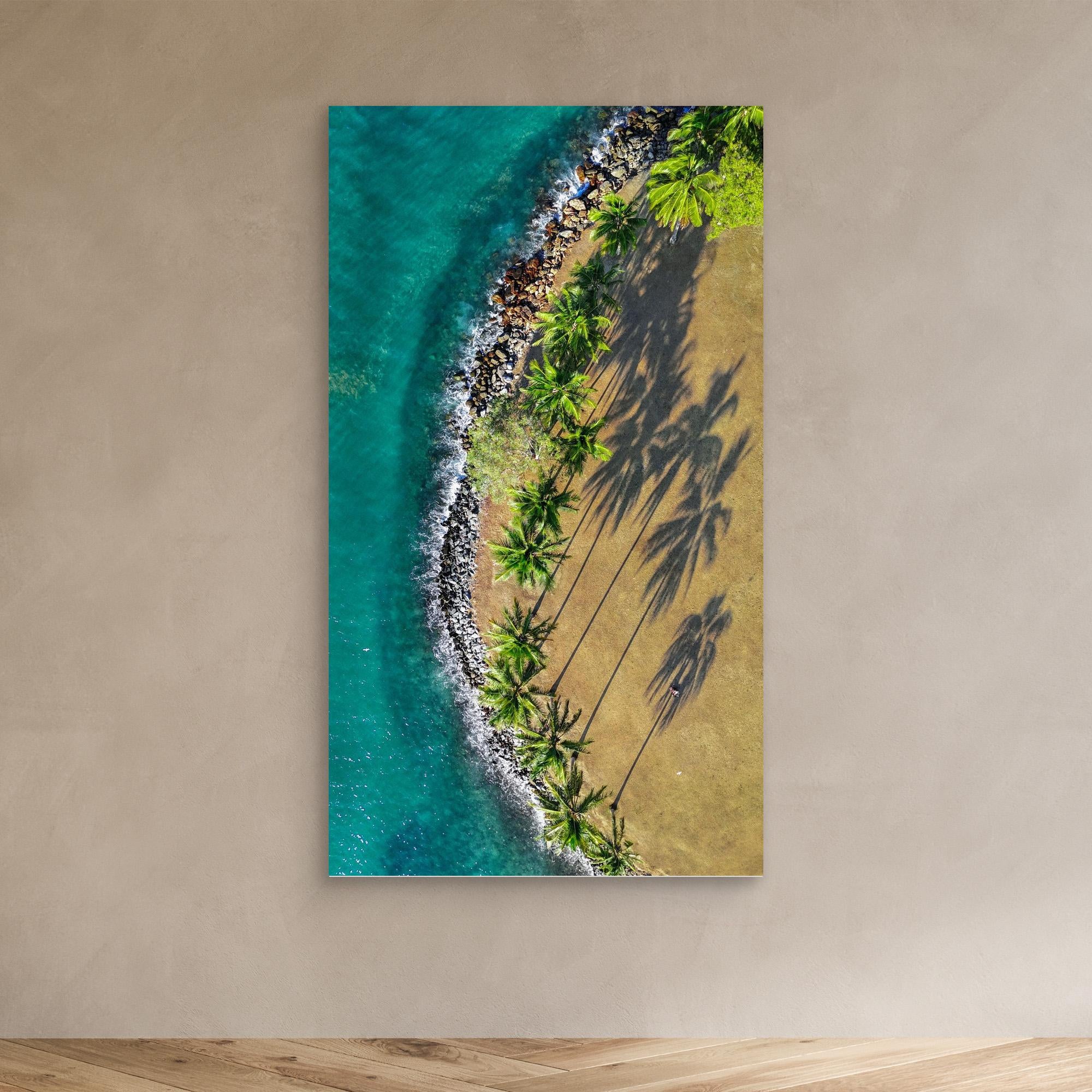 Shadows of Paradise - Port Douglas 2024