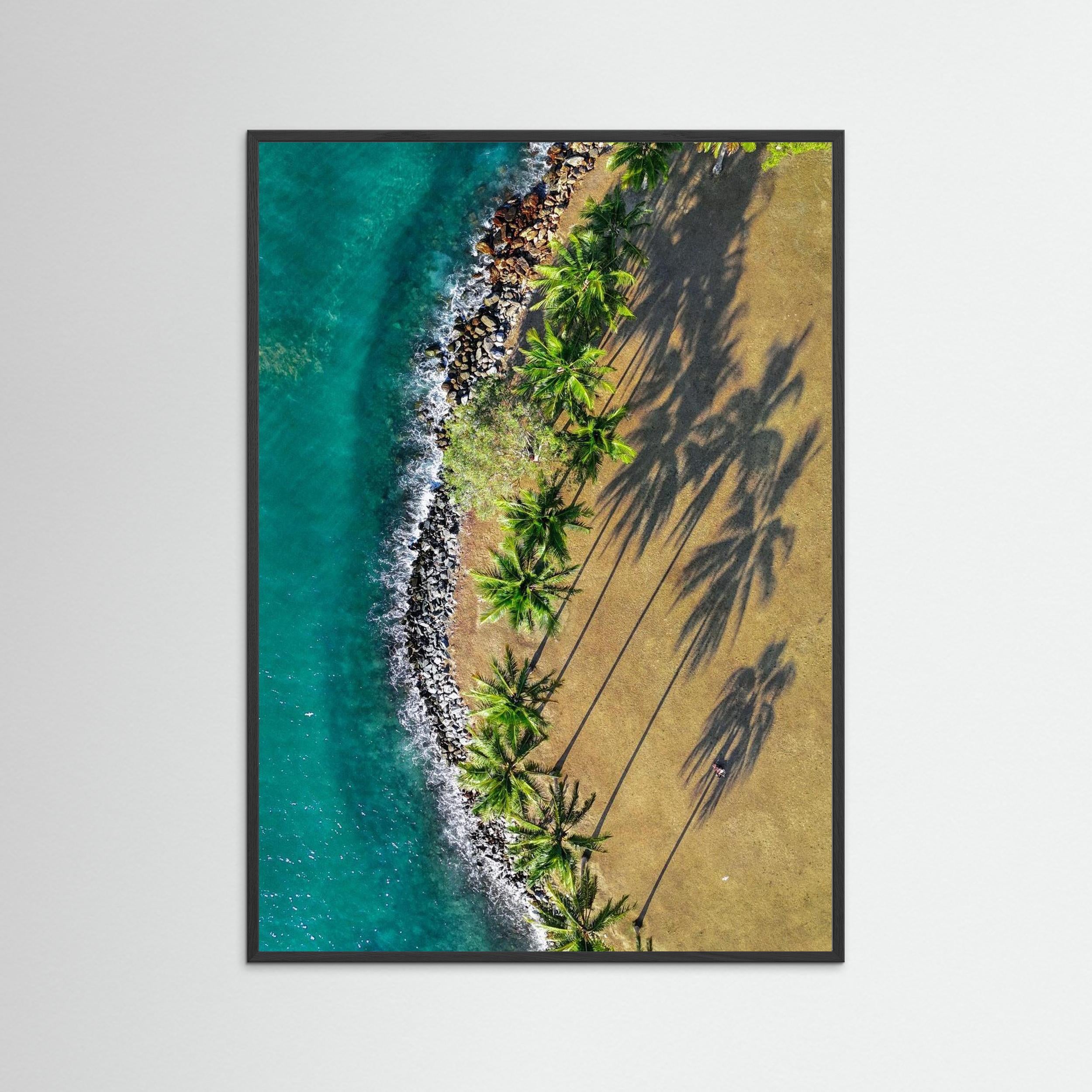 Shadows of Paradise - Port Douglas 2024