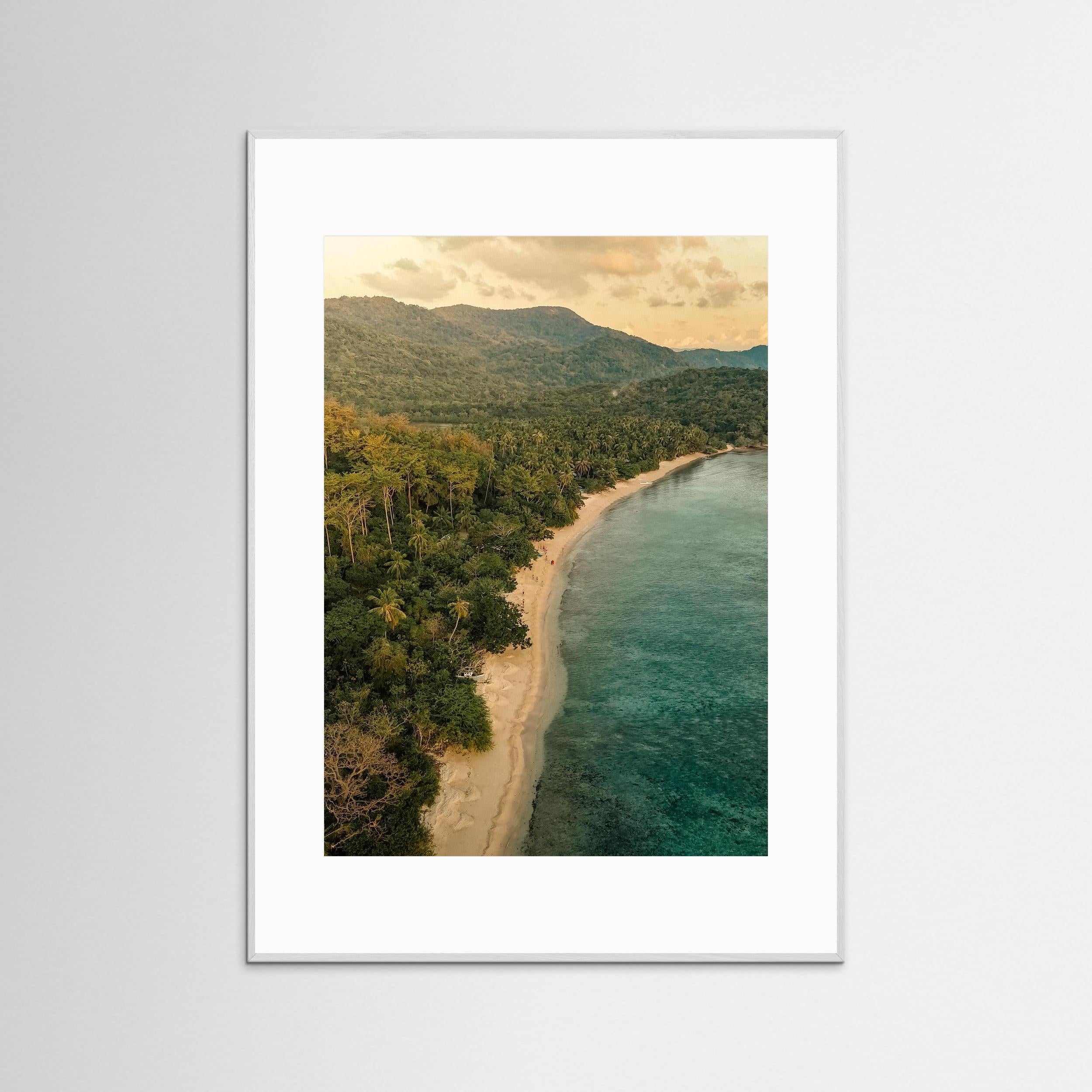 When the Forest Meets the Sea - Philippines 2025