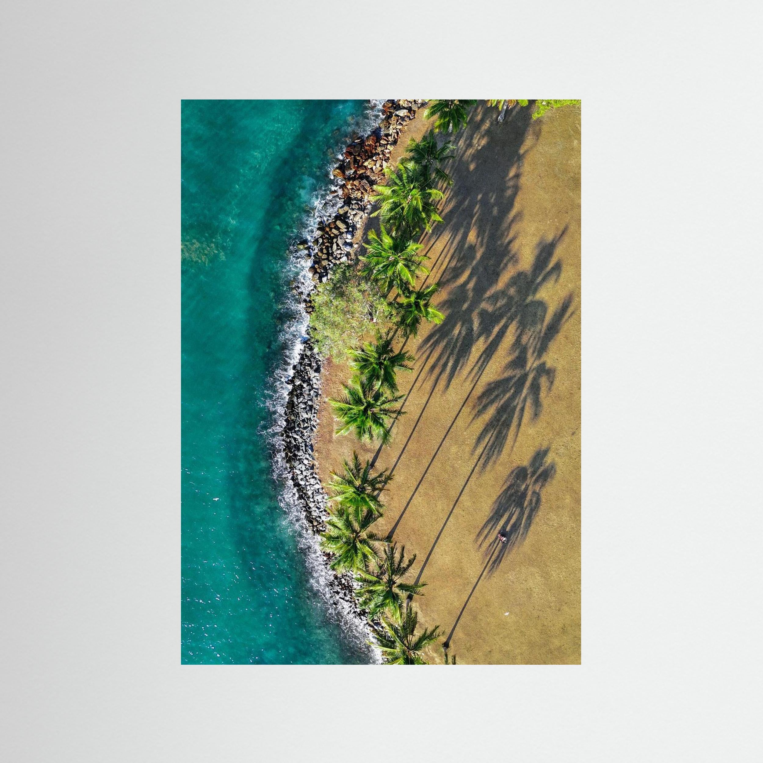 Shadows of Paradise - Port Douglas 2024