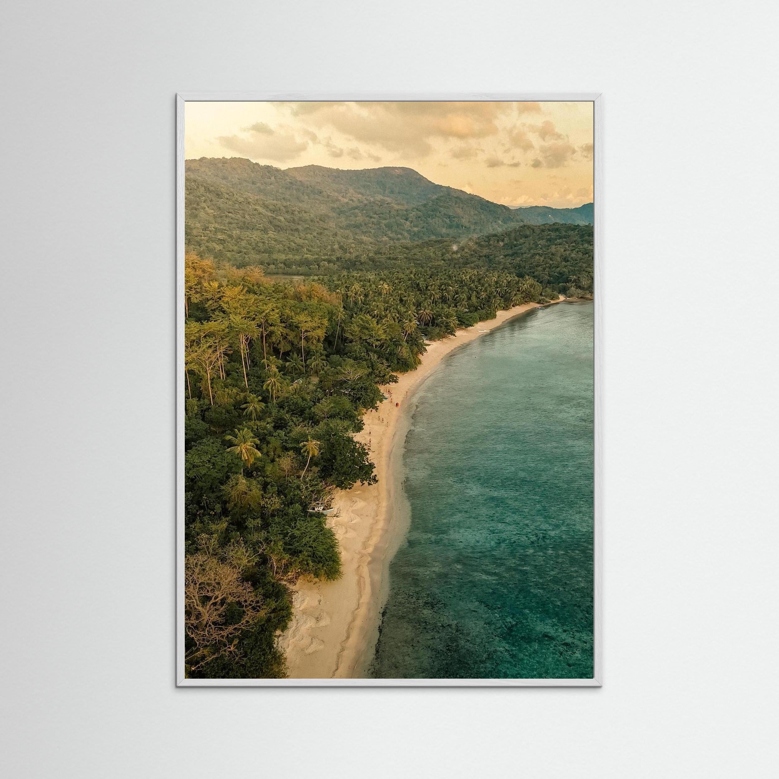 When the Forest Meets the Sea - Philippines 2025