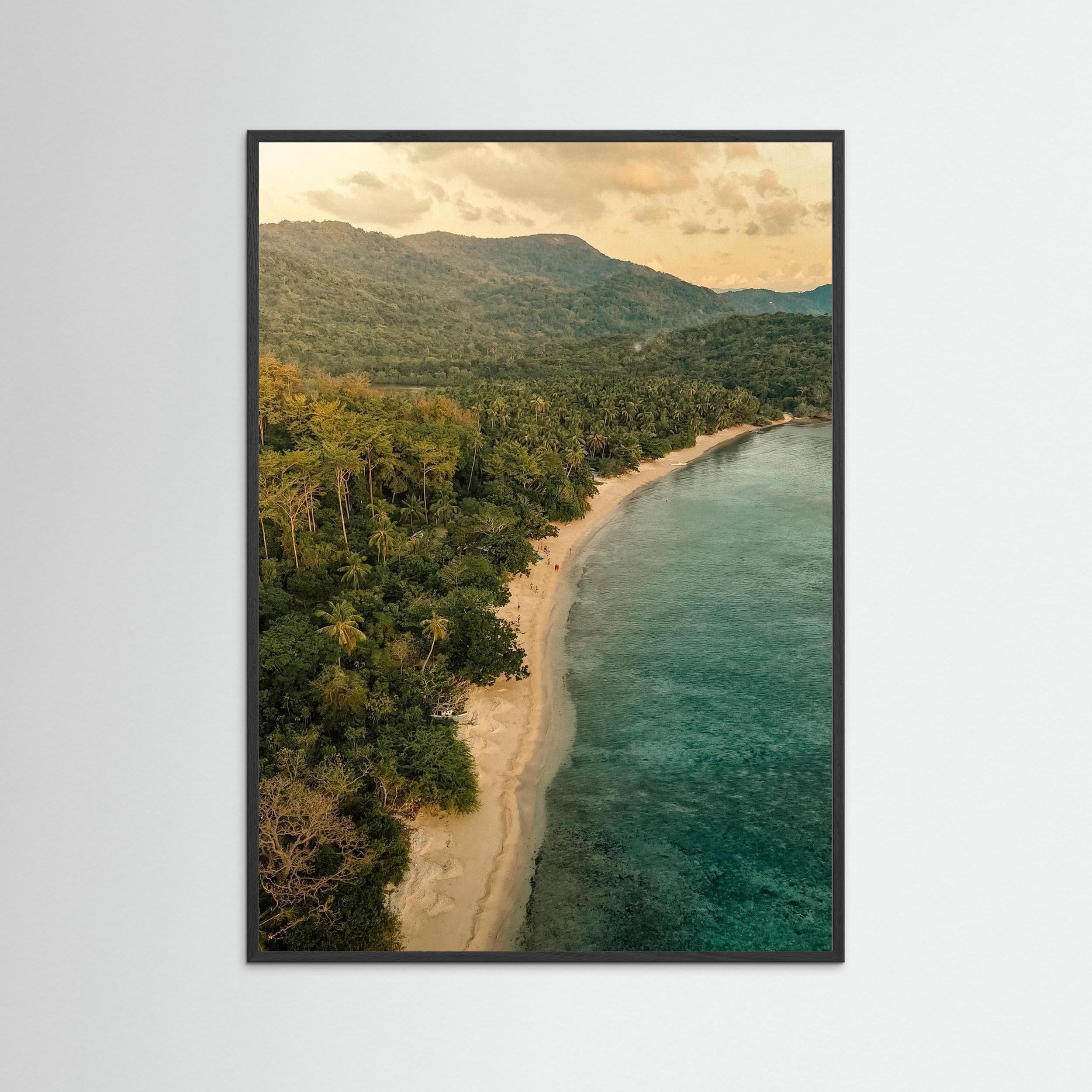 When the Forest Meets the Sea - Philippines 2025