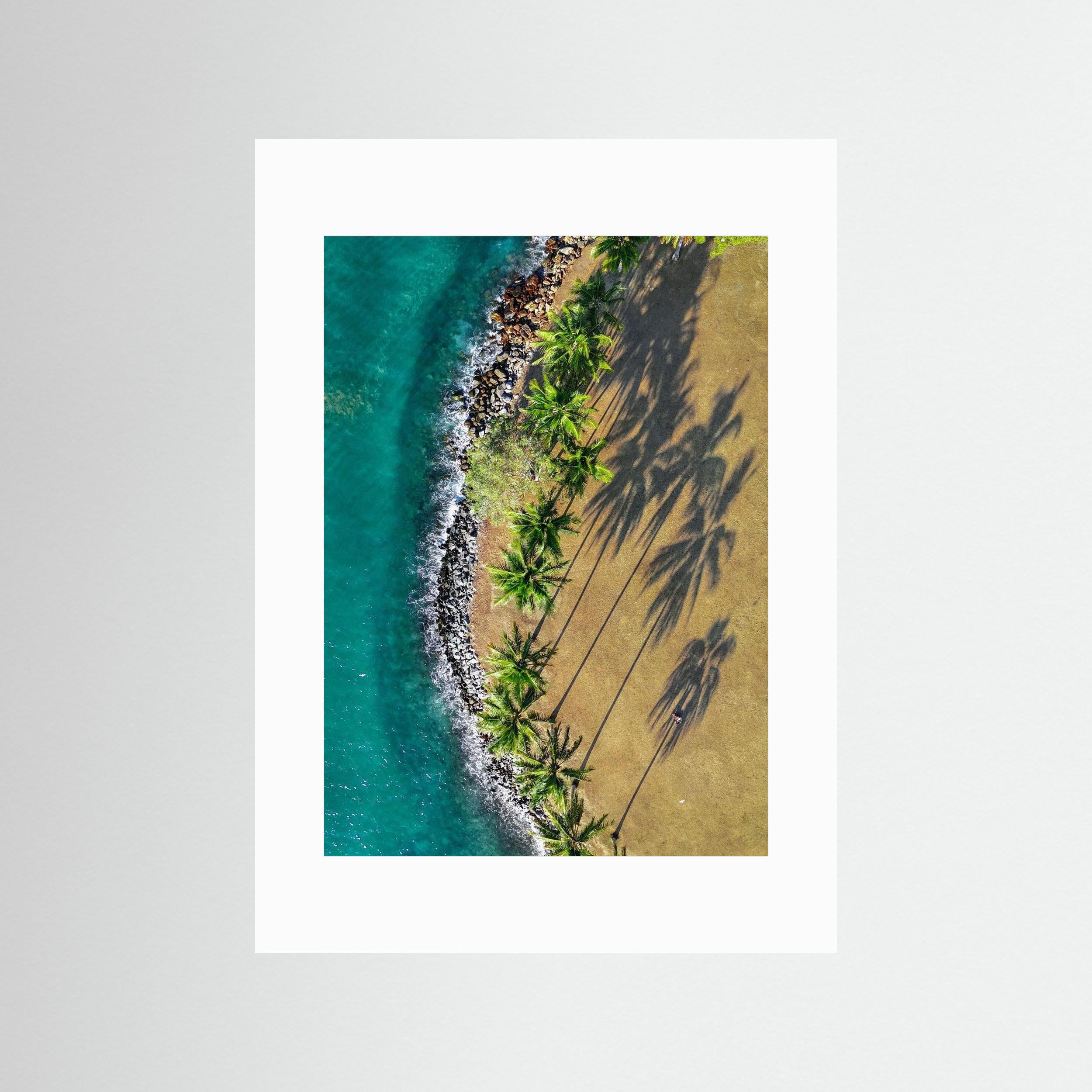 Shadows of Paradise - Port Douglas 2024