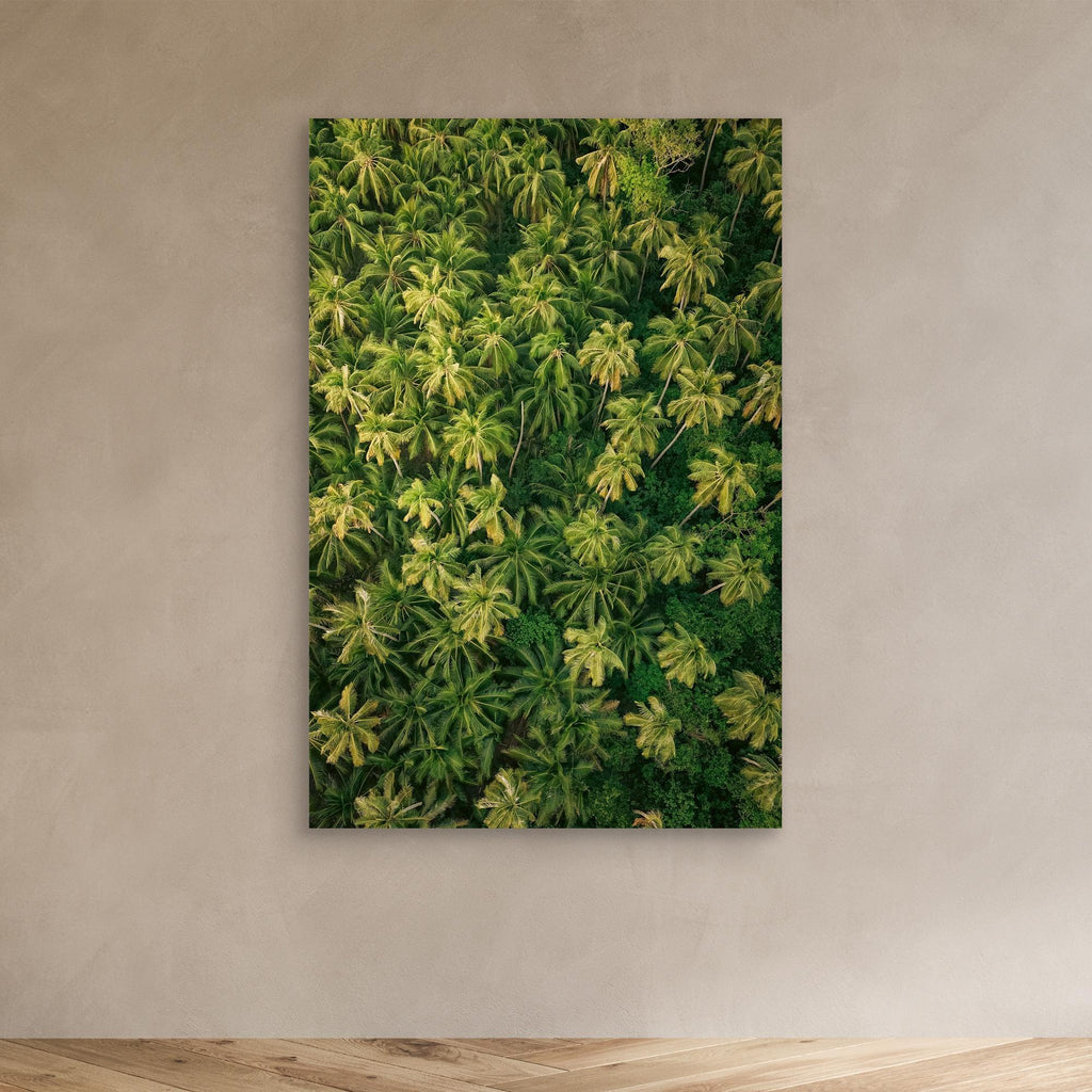 Palm Symphony - Siargao 2025