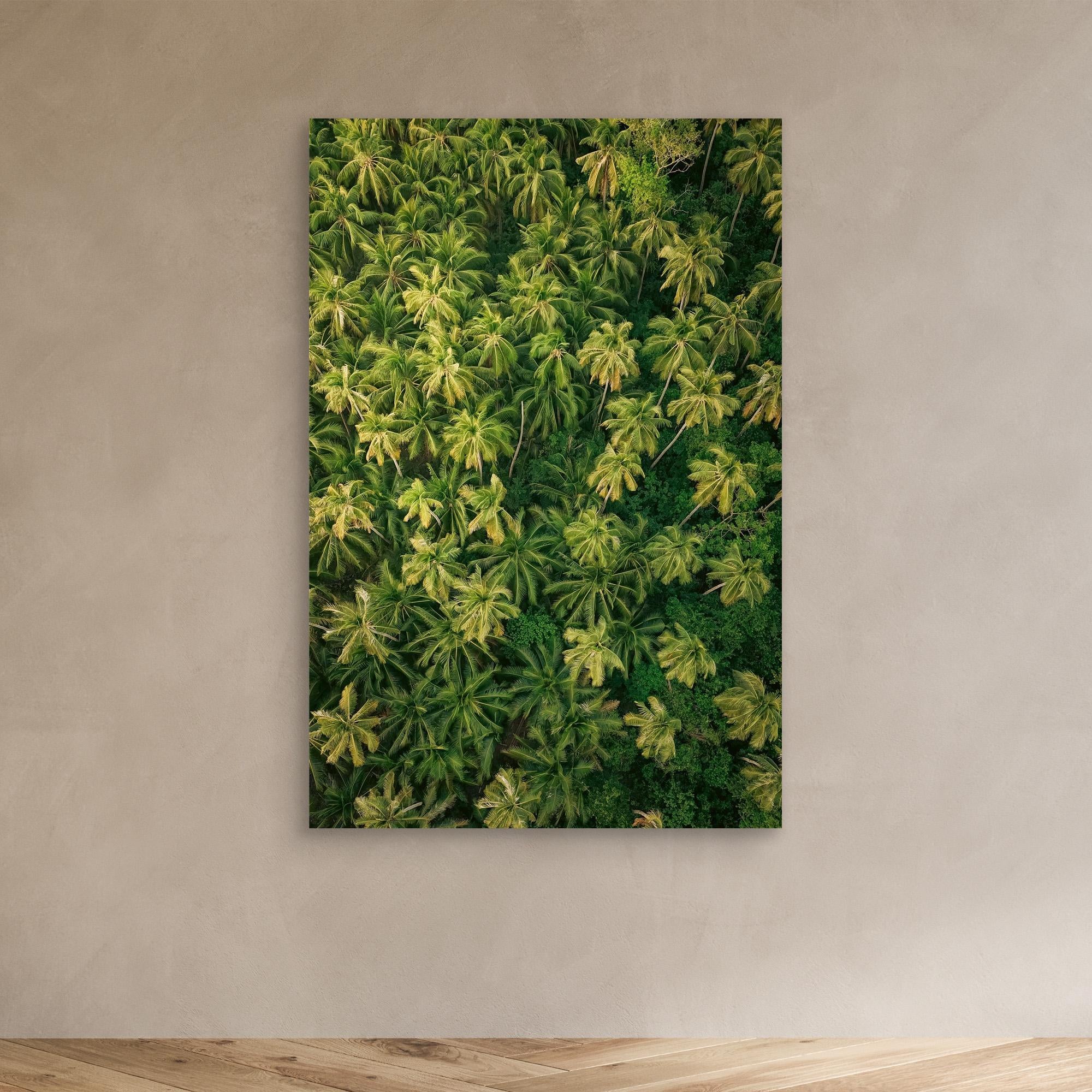 Palm Symphony - Siargao 2025